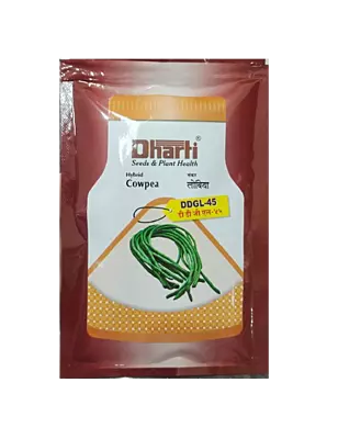 Cowpea DDGL 45 by Dharti Seeds