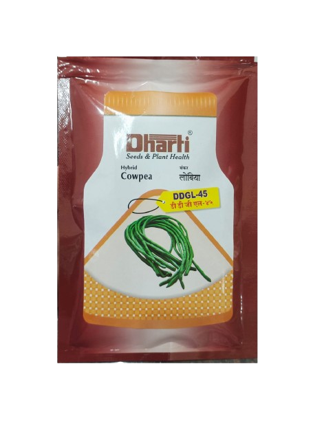 Cowpea DDGL 45 by Dharti Seeds
