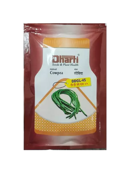 Cowpea DDGL 45 by Dharti Seeds