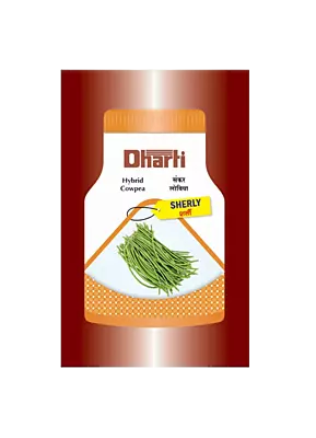 Cowpea Sherly Seeds by Dharti Seeds
