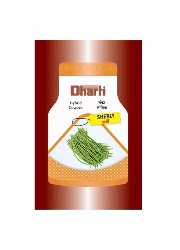 Cowpea Sherly Seeds by Dharti Seeds