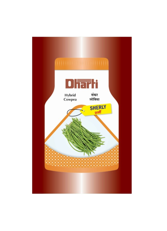Cowpea Sherly Seeds by Dharti Seeds