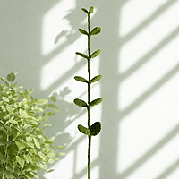 Eucalyptus Stem Large Dark Green Eucalyptus Stem Large Dark Green