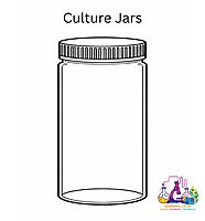 Culture Jars (Specimen)