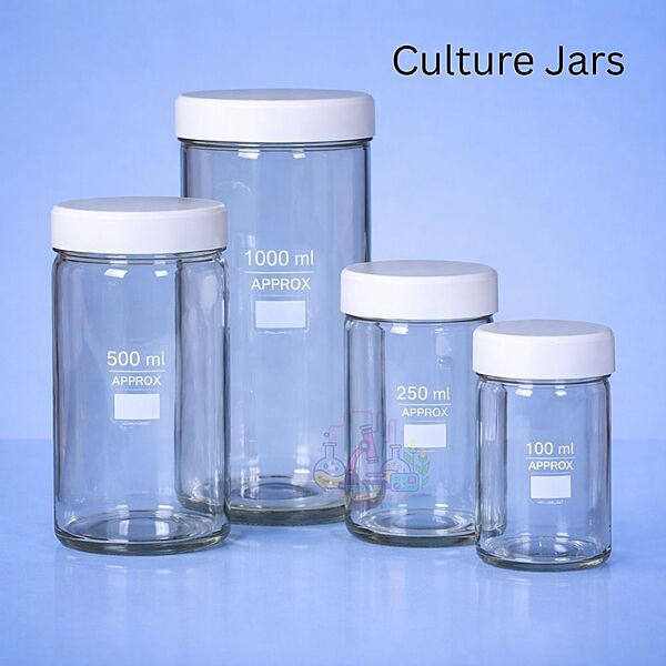 Culture Jars (Specimen)