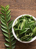 Aromatic curry leaves