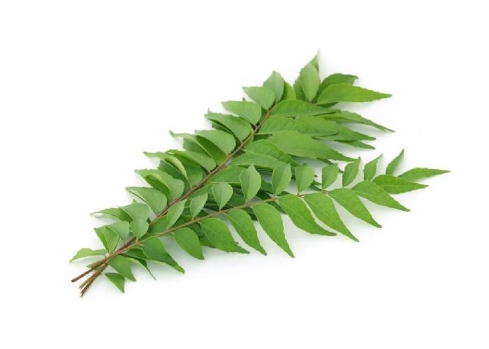 Aromatic curry leaves