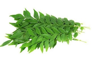 Curry Leaves / Karivepaku