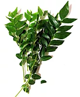 Curry Leaves కరివేపాకు