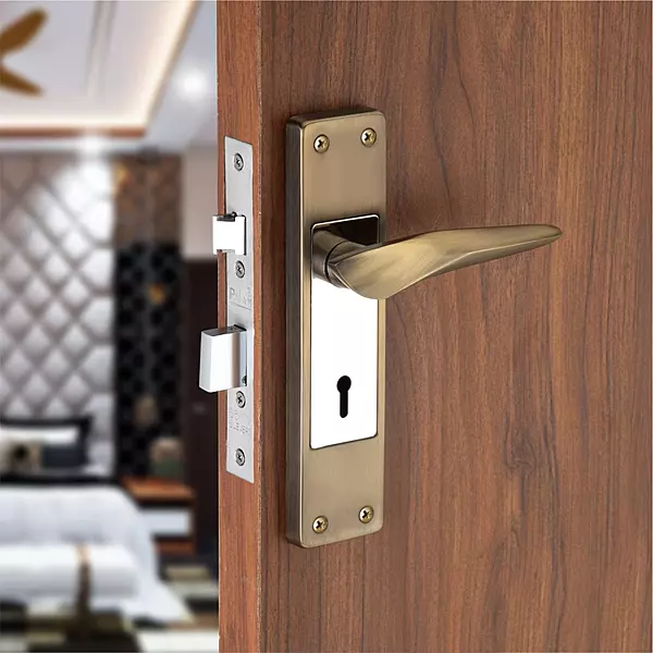 (3423) Palam M/L Set MS Curve CP/AQ