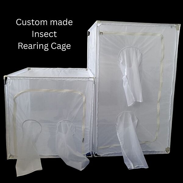 Custom Made Insect Rearing Cage