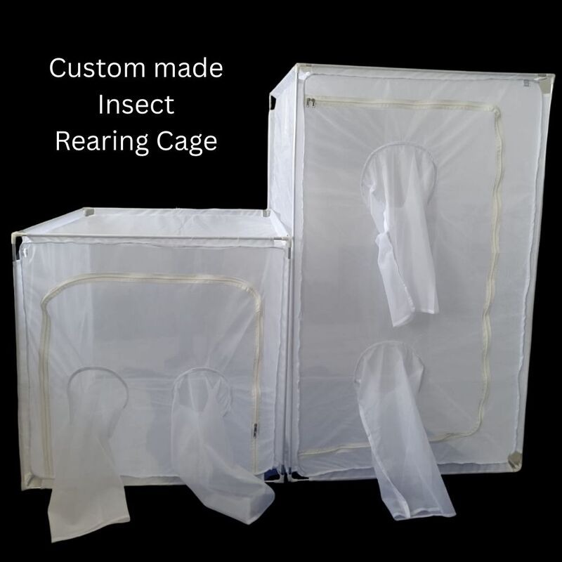Custom Made Insect Rearing Cage