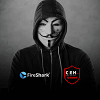 Certified Ethical Hacker (CEHv13) I-Lab (6 Months)