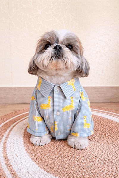 Sunshine Safari Shirt