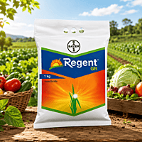 Bayer REGENT® 0.3 GR Insecticide – Fipronil 0.3% GR – 5 KG | Vetrivel Agro Services