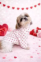 White Valentine Shirt