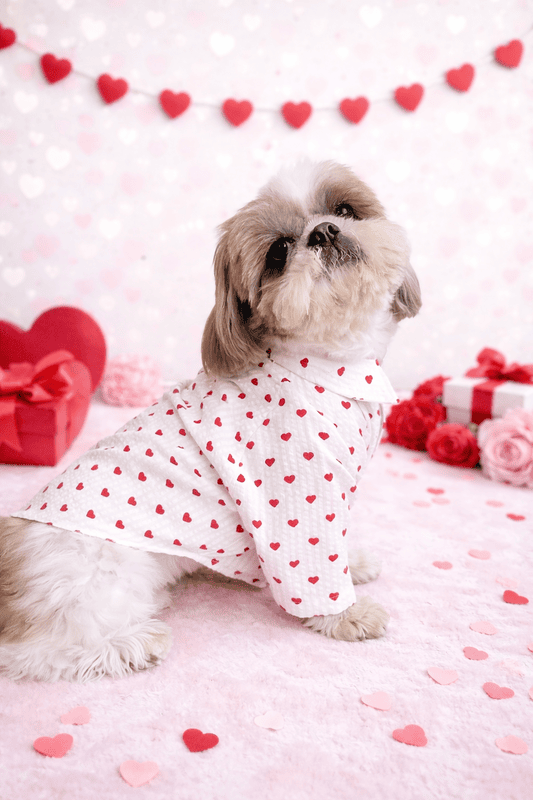 White Valentine Shirt