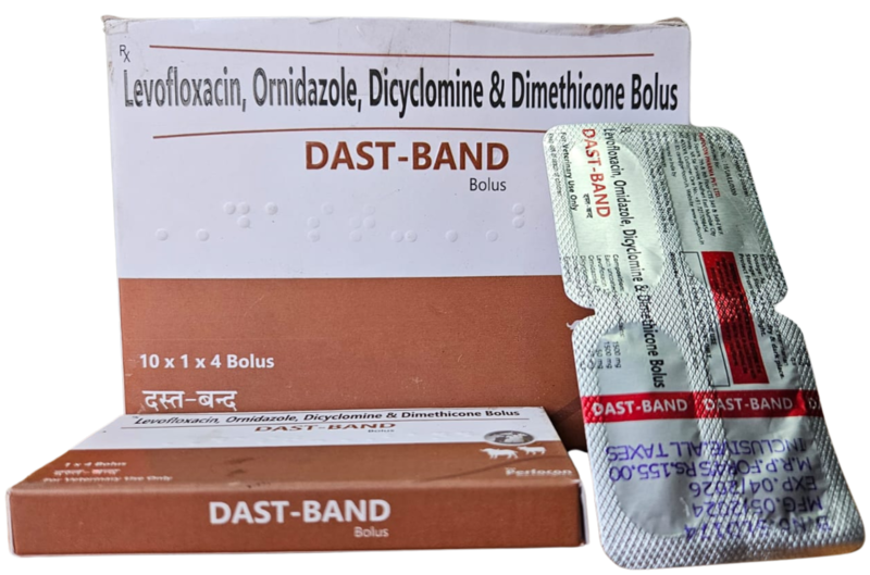LEVOFLOXACIN, ORNIDAZOLE, DICYCLOMINE & DIMETHICONE BOLUS 4s