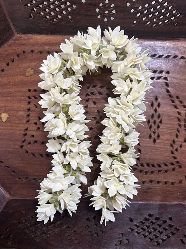 Artificial Pichipoo String