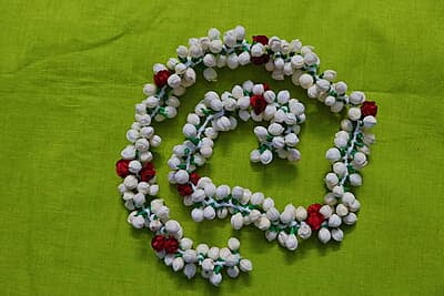 Artificial Sola Veni 1