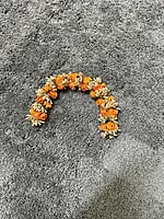 Artificial Colours Veni