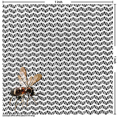 Insect Net with various colors and pore sizes