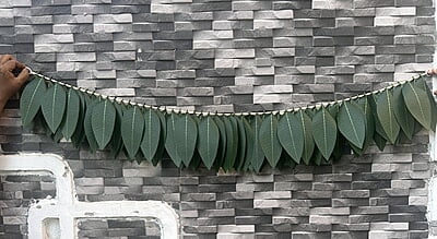 Mango leaf toran