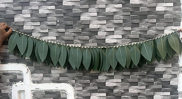 Mango leaf toran