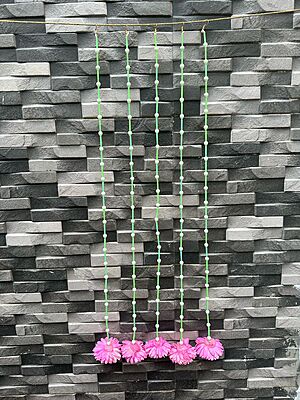 Marigold with plastic bud string