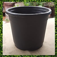 3.5" Black Pot (6pcs, 12pcs)