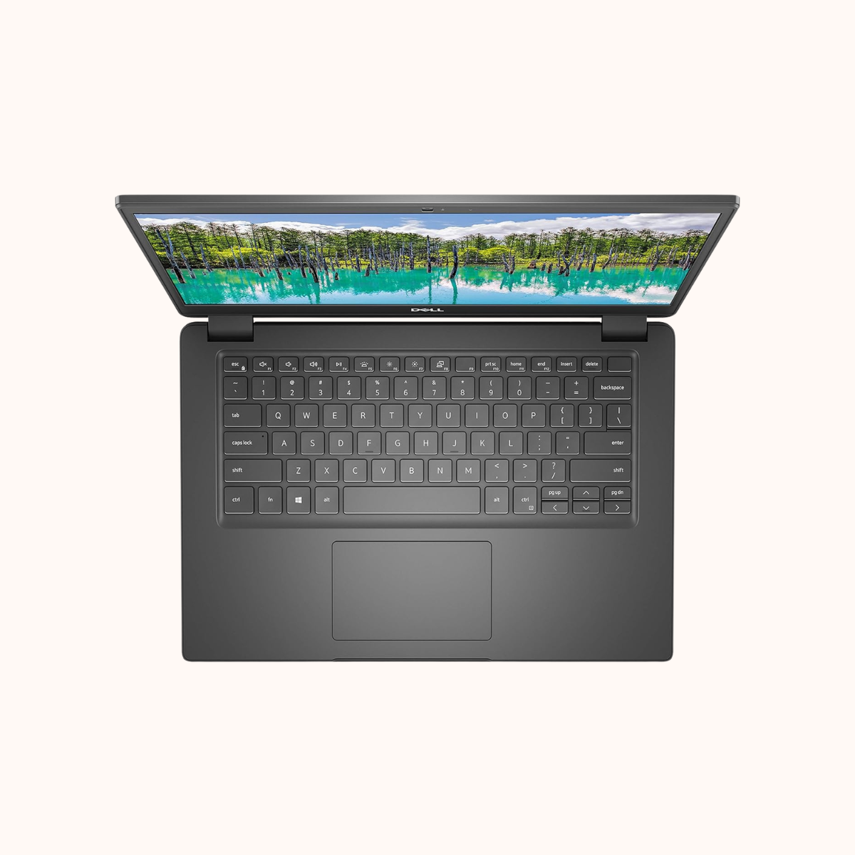 DELL LATITUDE 3410 CORE I5- 10310U 10TH/ 8GB RAM/ 256GB SSD/ W10PRO / BKLIT/14" HD/ 3 CELL/ 3 YEAR ADP WARRANTY