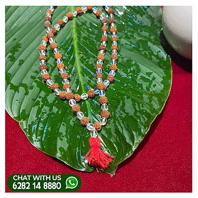 DIALY-USE-RUDRAKSHA-MALA-WITH-WHITE-BOL