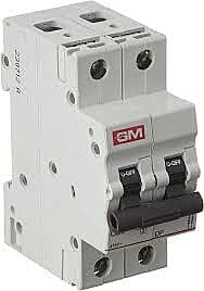 DOUBLE POLE MODULAR MCB