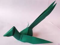 Single Leaf Parrot Single Leaf Parrot