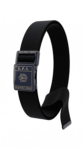 DPS Meerut Belt