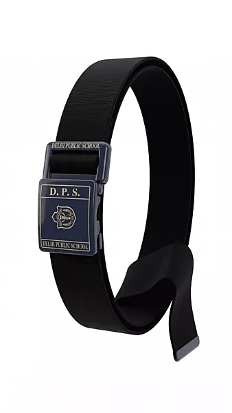 DPS Meerut Belt