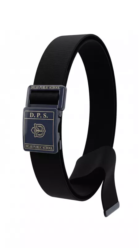 DPS Meerut Belt