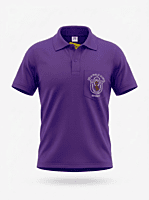 DPS Meerut House T-Shirt