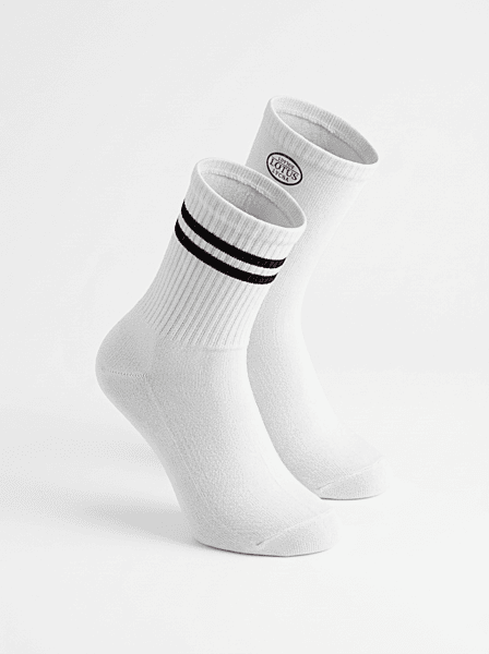 DPS Meerut Socks