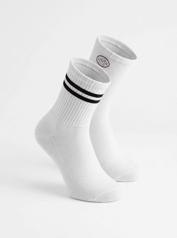 DPS Meerut Socks