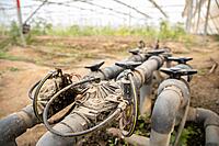 Drip Irrigation & Fertigation Technology Training