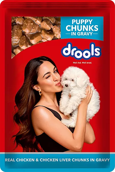 Drools Real Chicken and Chicken Liver Chunks in Gravy Puppy Dog Wet Food