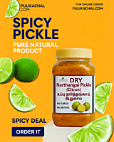 Dry Narthangai kaaram (pickle) 