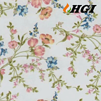 DS1199-0.5M Width Transfer Printing Film