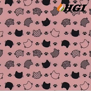 DS267-0.5M Width Transfer Printing Film