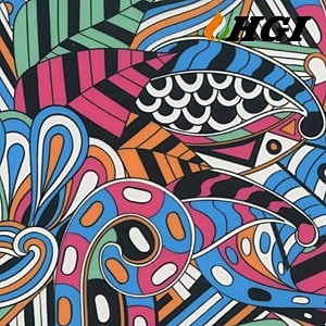 DS842-0.5M Width Transfer Printing Film