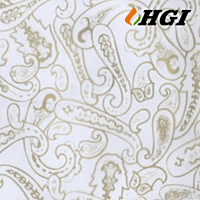 DS930-0.5M Width Transfer Printing Film