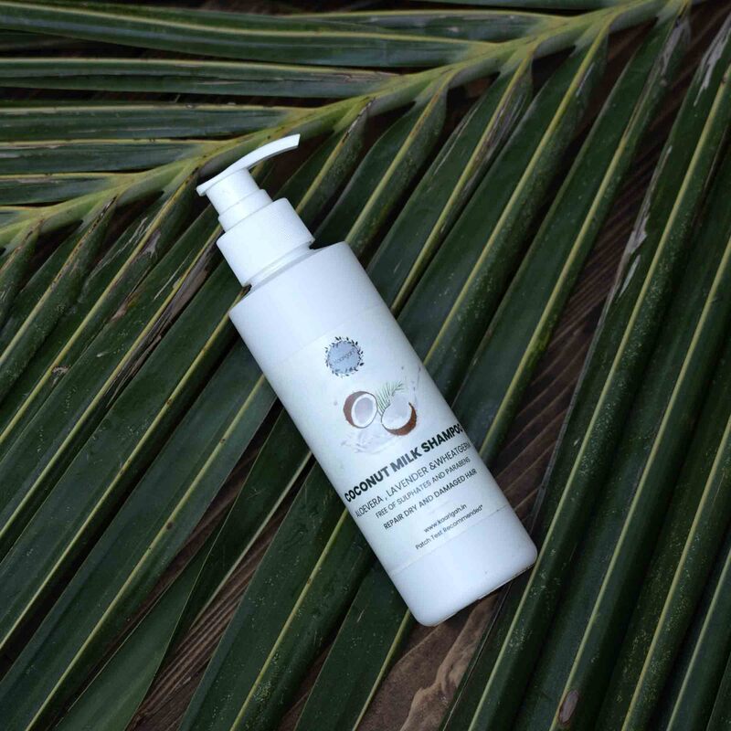 Coconut Milk Shampoo - Lavender & Aloevera
