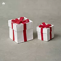 Felt Gift Boxes Set of 02