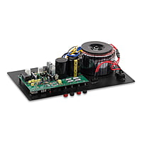 DOOGESOUND 200W SUBWOOFER PLATE (200W RMS)